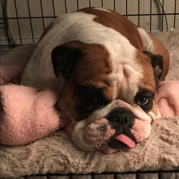 Meet your Posher, Regina - Picture 1 of 1